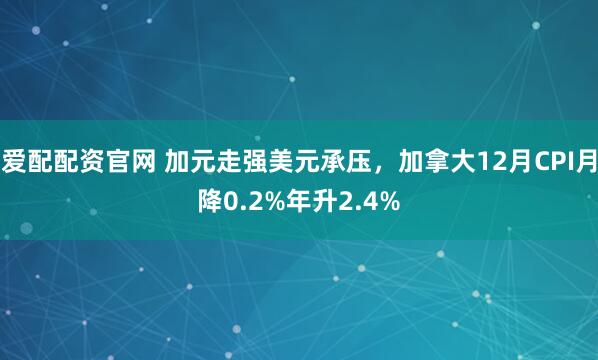 爱配配资官网 加元走强美元承压，加拿大12月CPI月降0.2%年升2.4%