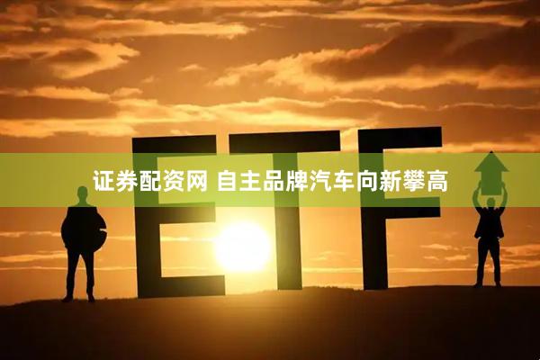 证券配资网 自主品牌汽车向新攀高